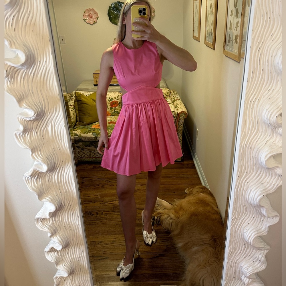 Never Worn NWT French Connection Pink Mini Dress